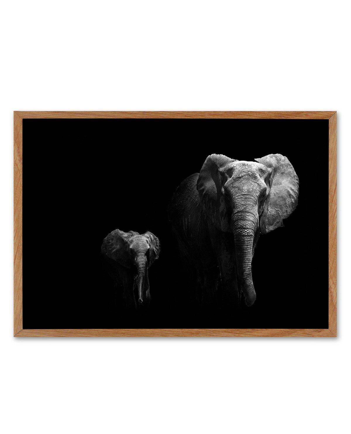 Elephant Par Deux | LS Art Print-PRINT-Olive et Oriel-Olive et Oriel-50x70 cm | 19.6" x 27.5"-Walnut-With White Border-Buy-Australian-Art-Prints-Online-with-Olive-et-Oriel-Your-Artwork-Specialists-Austrailia-Decorate-With-Coastal-Photo-Wall-Art-Prints-From-Our-Beach-House-Artwork-Collection-Fine-Poster-and-Framed-Artwork