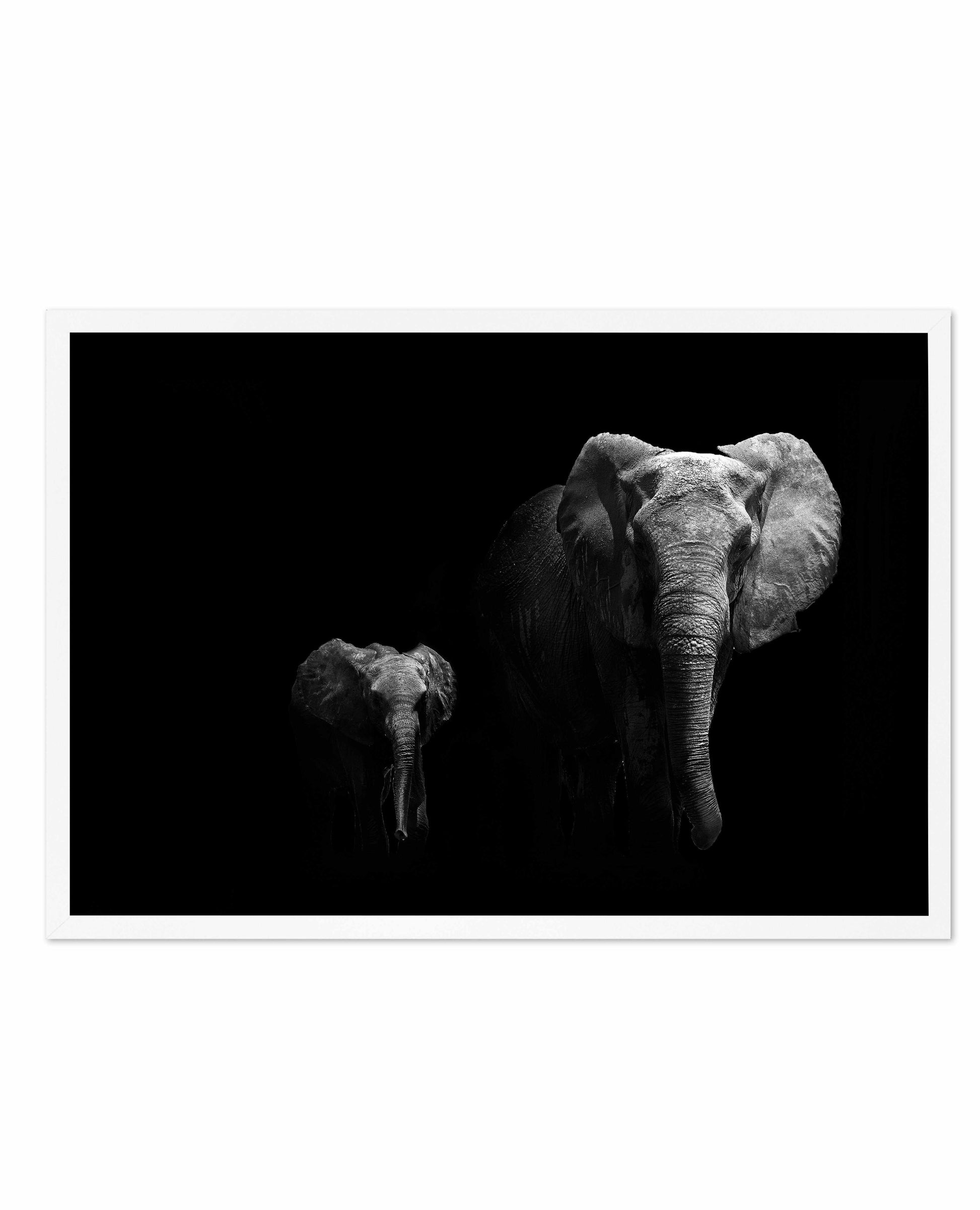 Elephant Par Deux | LS Art Print-PRINT-Olive et Oriel-Olive et Oriel-A5 | 5.8" x 8.3" | 14.8 x 21cm-White-With White Border-Buy-Australian-Art-Prints-Online-with-Olive-et-Oriel-Your-Artwork-Specialists-Austrailia-Decorate-With-Coastal-Photo-Wall-Art-Prints-From-Our-Beach-House-Artwork-Collection-Fine-Poster-and-Framed-Artwork