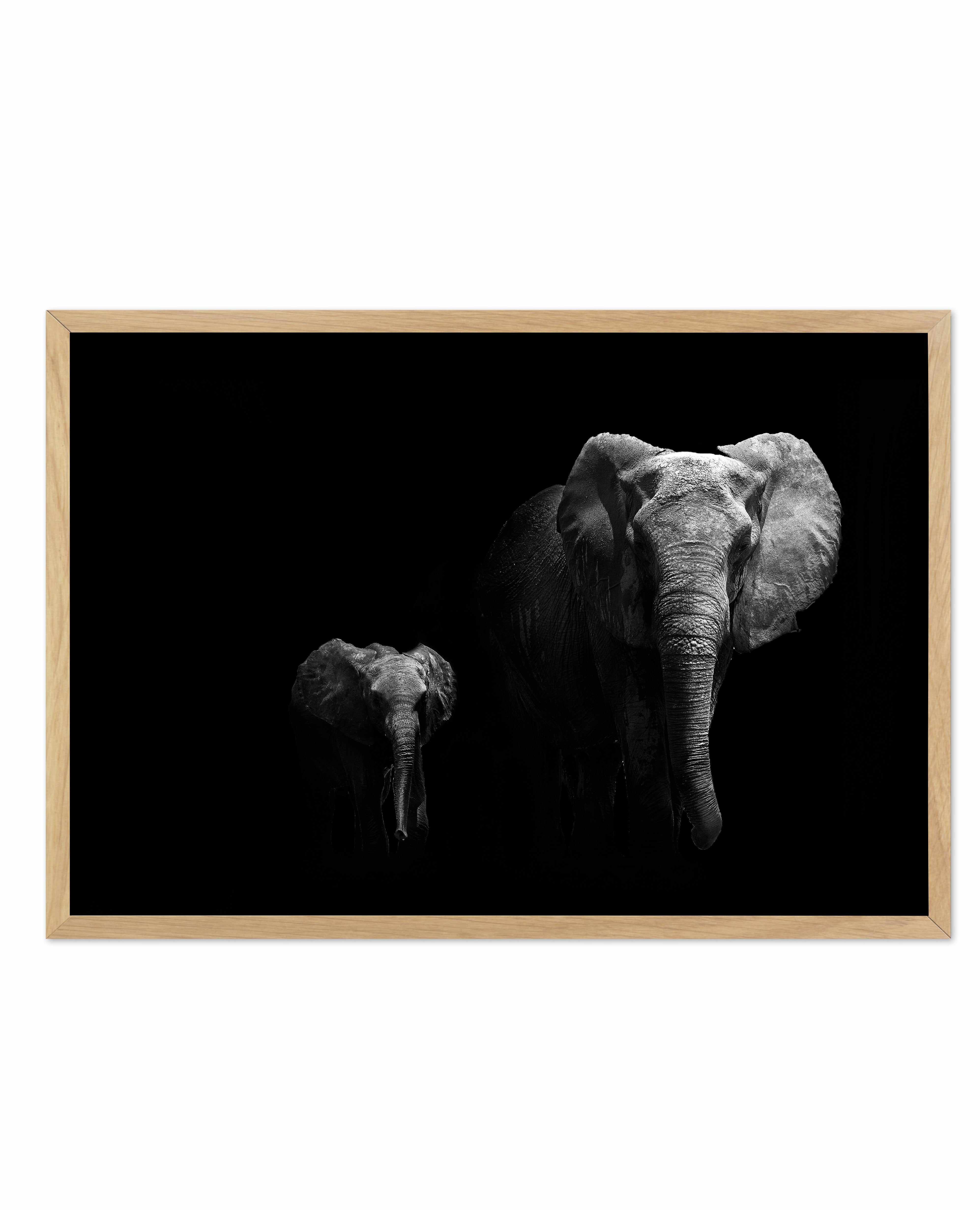 Elephant Par Deux | LS Art Print-PRINT-Olive et Oriel-Olive et Oriel-A5 | 5.8" x 8.3" | 14.8 x 21cm-Oak-With White Border-Buy-Australian-Art-Prints-Online-with-Olive-et-Oriel-Your-Artwork-Specialists-Austrailia-Decorate-With-Coastal-Photo-Wall-Art-Prints-From-Our-Beach-House-Artwork-Collection-Fine-Poster-and-Framed-Artwork