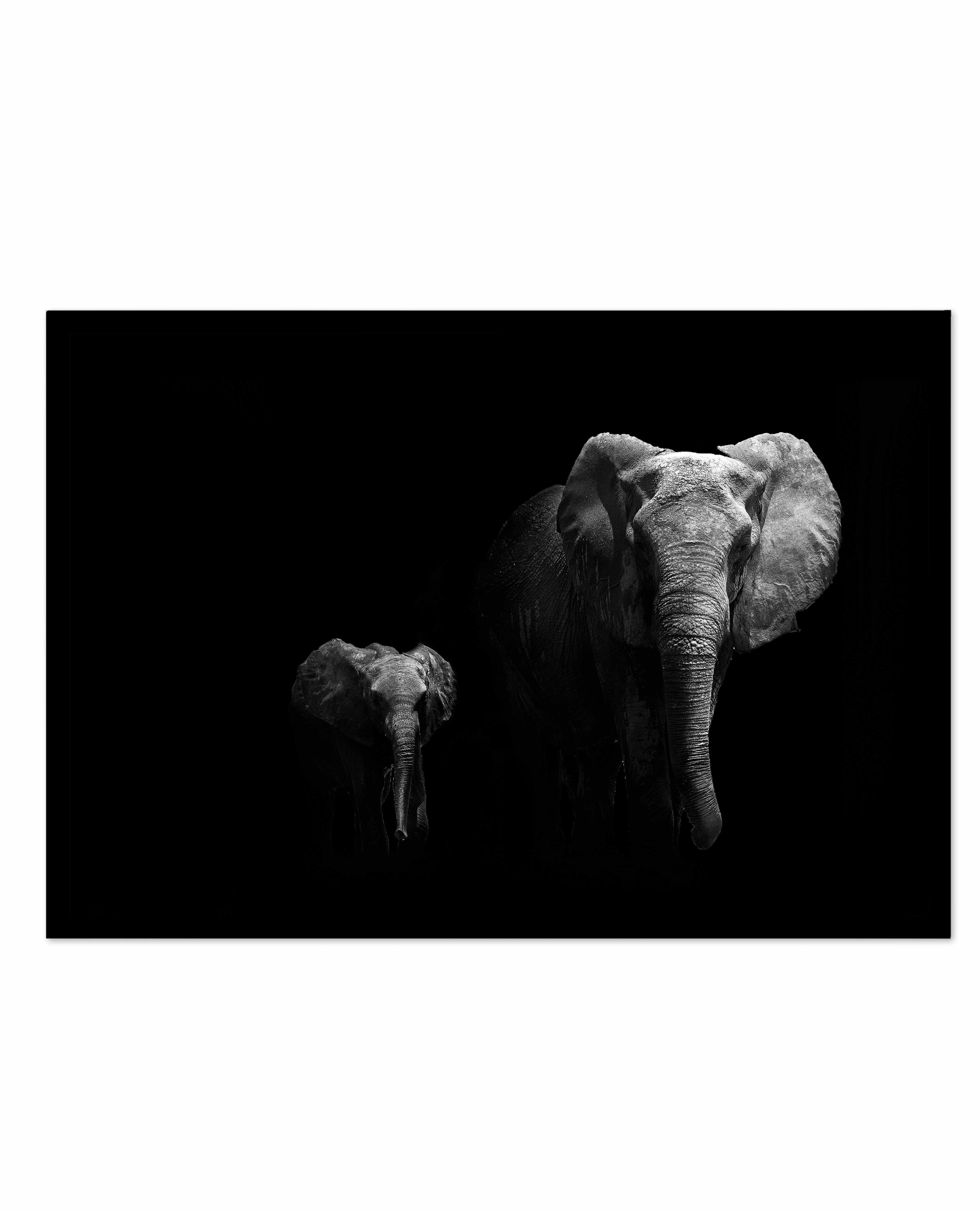 Elephant Par Deux | LS Art Print-PRINT-Olive et Oriel-Olive et Oriel-A5 | 5.8" x 8.3" | 14.8 x 21cm-Black-With White Border-Buy-Australian-Art-Prints-Online-with-Olive-et-Oriel-Your-Artwork-Specialists-Austrailia-Decorate-With-Coastal-Photo-Wall-Art-Prints-From-Our-Beach-House-Artwork-Collection-Fine-Poster-and-Framed-Artwork