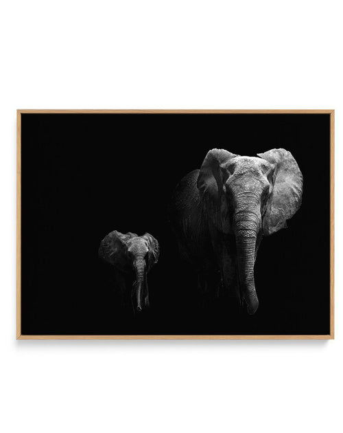 Elephant Par Deux | LS | Framed Canvas-CANVAS-You can shop wall art online with Olive et Oriel for everything from abstract art to fun kids wall art. Our beautiful modern art prints and canvas art are available from large canvas prints to wall art paintings and our proudly Australian artwork collection offers only the highest quality framed large wall art and canvas art Australia - You can buy fashion photography prints or Hampton print posters and paintings on canvas from Olive et Oriel and hav
