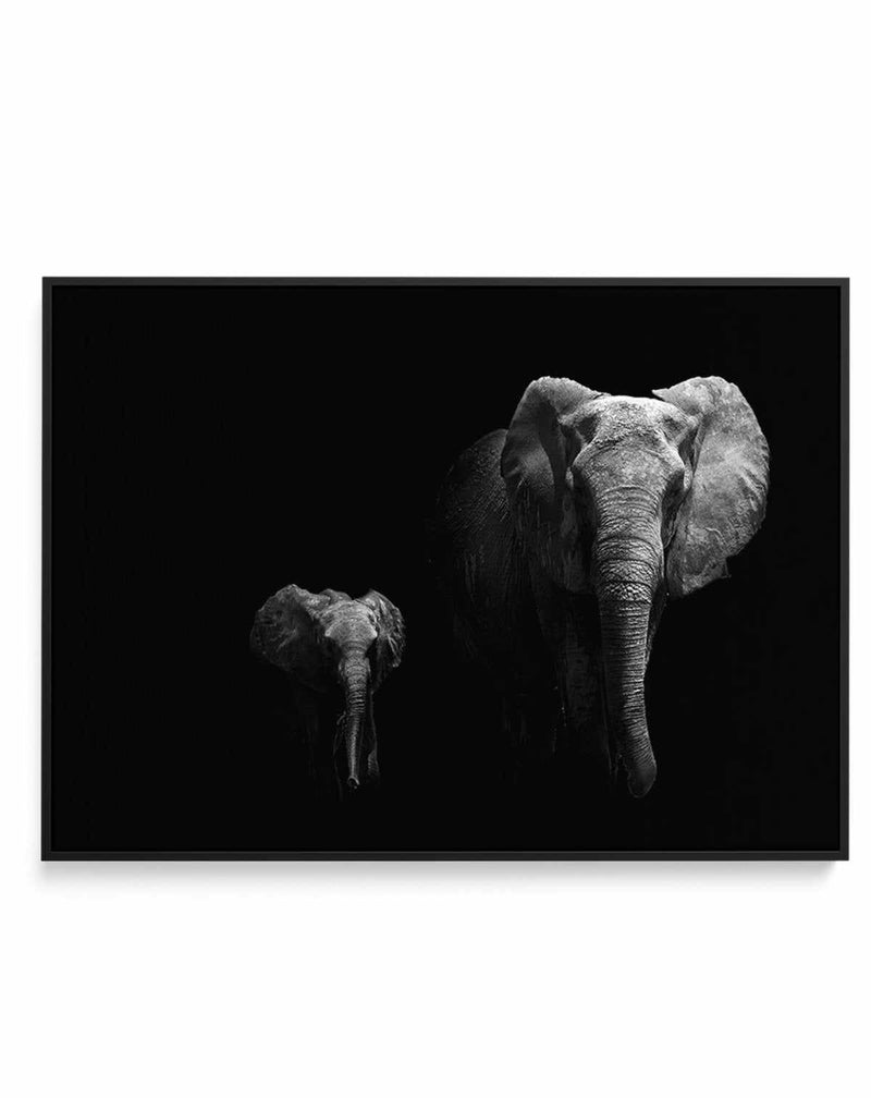 Elephant Par Deux | LS | Framed Canvas-CANVAS-You can shop wall art online with Olive et Oriel for everything from abstract art to fun kids wall art. Our beautiful modern art prints and canvas art are available from large canvas prints to wall art paintings and our proudly Australian artwork collection offers only the highest quality framed large wall art and canvas art Australia - You can buy fashion photography prints or Hampton print posters and paintings on canvas from Olive et Oriel and hav