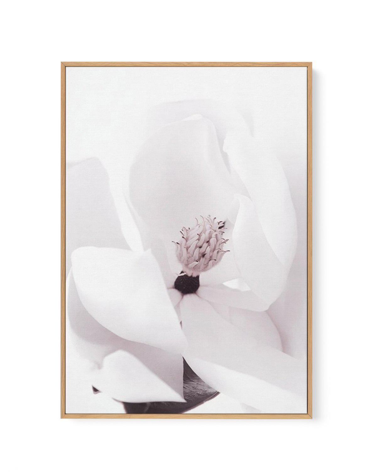 Elle est la | Magnolia | Framed Canvas-CANVAS-You can shop wall art online with Olive et Oriel for everything from abstract art to fun kids wall art. Our beautiful modern art prints and canvas art are available from large canvas prints to wall art paintings and our proudly Australian artwork collection offers only the highest quality framed large wall art and canvas art Australia - You can buy fashion photography prints or Hampton print posters and paintings on canvas from Olive et Oriel and hav