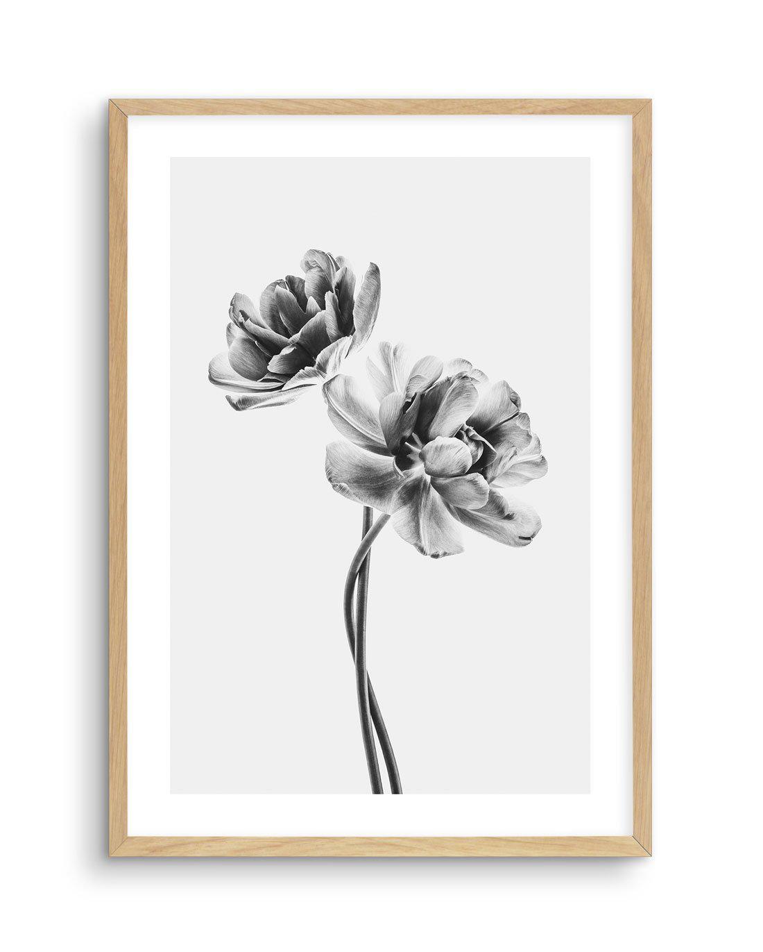 Entwined Poppy En Noir Art Print-PRINT-Olive et Oriel-Olive et Oriel-A5 | 5.8" x 8.3" | 14.8 x 21cm-Oak-With White Border-Buy-Australian-Art-Prints-Online-with-Olive-et-Oriel-Your-Artwork-Specialists-Austrailia-Decorate-With-Coastal-Photo-Wall-Art-Prints-From-Our-Beach-House-Artwork-Collection-Fine-Poster-and-Framed-Artwork