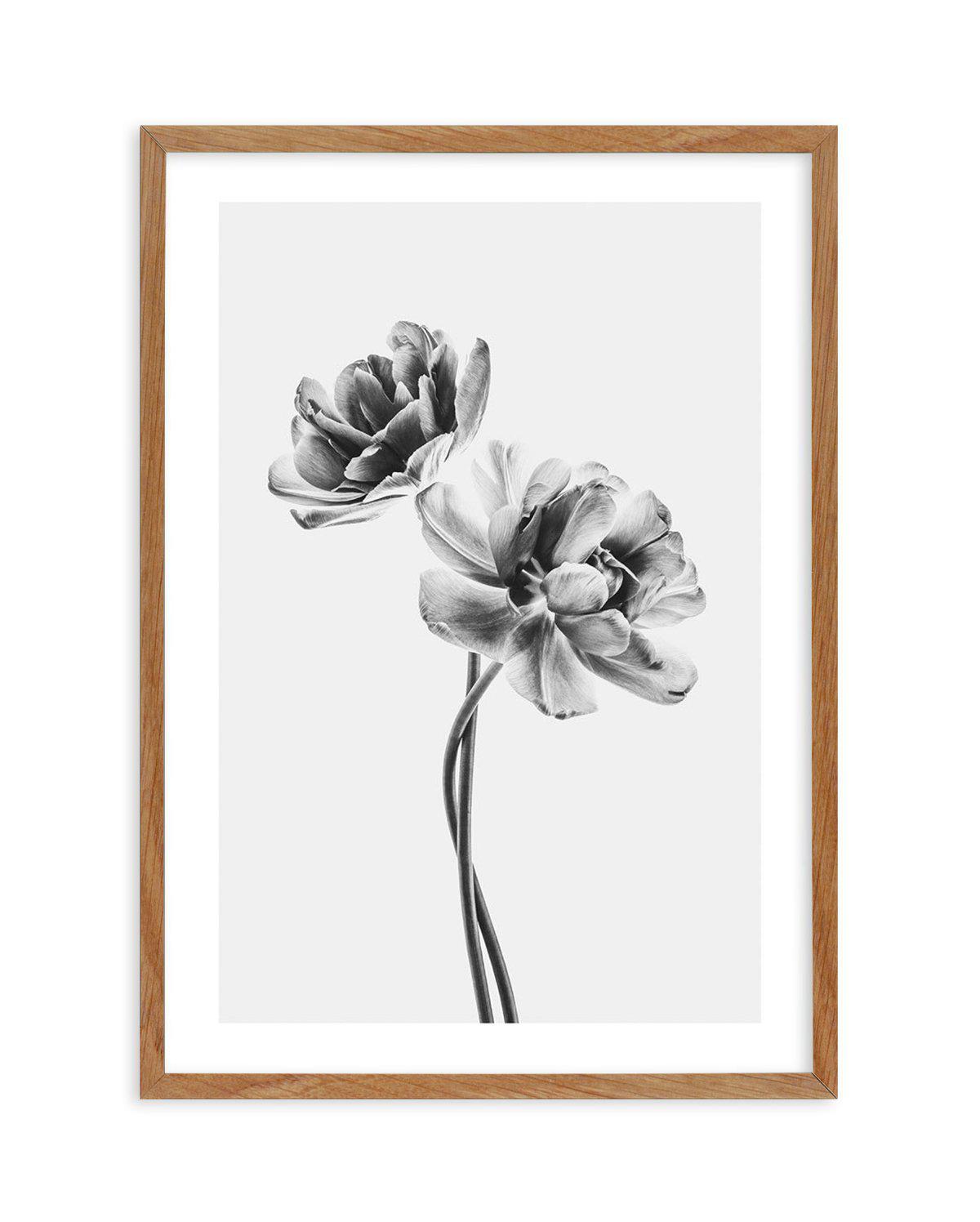 Entwined Poppy En Noir Art Print-PRINT-Olive et Oriel-Olive et Oriel-50x70 cm | 19.6" x 27.5"-Walnut-With White Border-Buy-Australian-Art-Prints-Online-with-Olive-et-Oriel-Your-Artwork-Specialists-Austrailia-Decorate-With-Coastal-Photo-Wall-Art-Prints-From-Our-Beach-House-Artwork-Collection-Fine-Poster-and-Framed-Artwork