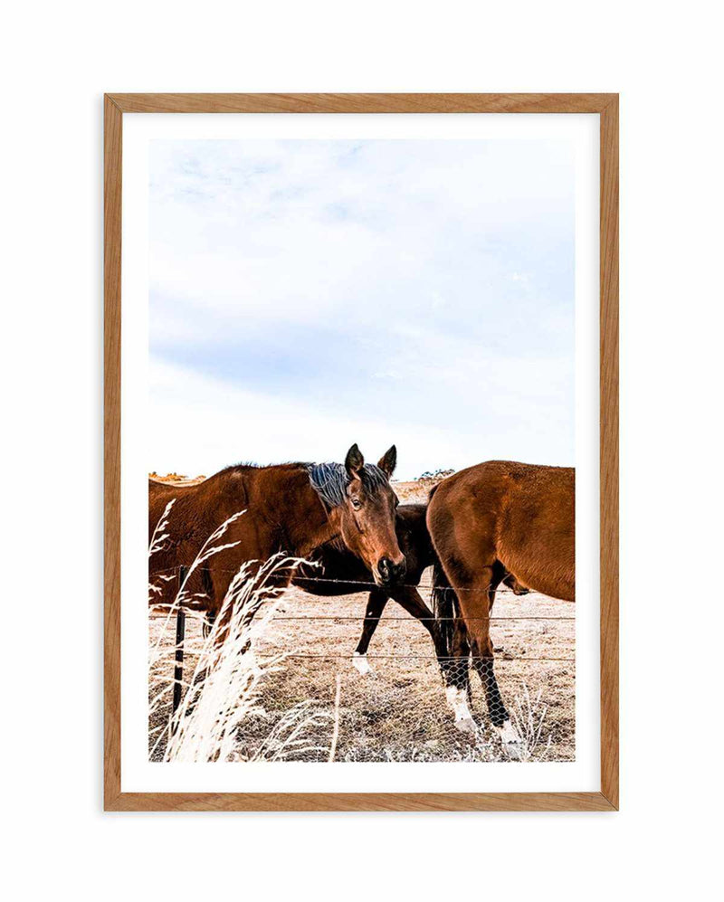 Equestrian Art Print-PRINT-Olive et Oriel-Olive et Oriel-50x70 cm | 19.6" x 27.5"-Walnut-With White Border-Buy-Australian-Art-Prints-Online-with-Olive-et-Oriel-Your-Artwork-Specialists-Austrailia-Decorate-With-Coastal-Photo-Wall-Art-Prints-From-Our-Beach-House-Artwork-Collection-Fine-Poster-and-Framed-Artwork