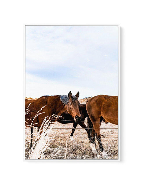 Equestrian | Framed Canvas-CANVAS-You can shop wall art online with Olive et Oriel for everything from abstract art to fun kids wall art. Our beautiful modern art prints and canvas art are available from large canvas prints to wall art paintings and our proudly Australian artwork collection offers only the highest quality framed large wall art and canvas art Australia - You can buy fashion photography prints or Hampton print posters and paintings on canvas from Olive et Oriel and have them deliv
