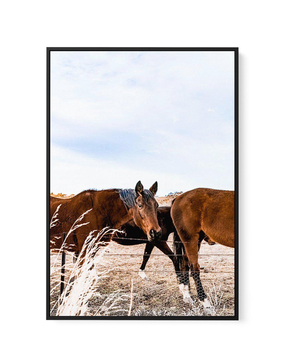 Equestrian | Framed Canvas-CANVAS-You can shop wall art online with Olive et Oriel for everything from abstract art to fun kids wall art. Our beautiful modern art prints and canvas art are available from large canvas prints to wall art paintings and our proudly Australian artwork collection offers only the highest quality framed large wall art and canvas art Australia - You can buy fashion photography prints or Hampton print posters and paintings on canvas from Olive et Oriel and have them deliv