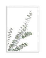 Eucalyptus Gum I Art Print-PRINT-Olive et Oriel-Olive et Oriel-A5 | 5.8" x 8.3" | 14.8 x 21cm-White-With White Border-Buy-Australian-Art-Prints-Online-with-Olive-et-Oriel-Your-Artwork-Specialists-Austrailia-Decorate-With-Coastal-Photo-Wall-Art-Prints-From-Our-Beach-House-Artwork-Collection-Fine-Poster-and-Framed-Artwork