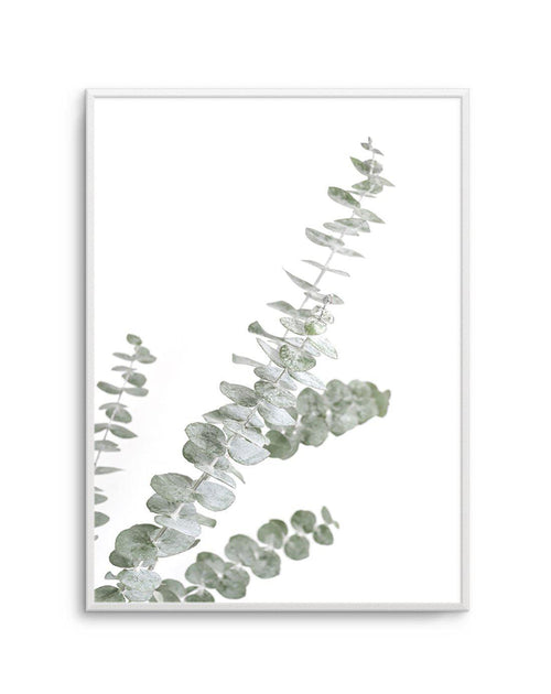 Eucalyptus Gum I Art Print-PRINT-Olive et Oriel-Olive et Oriel-A5 | 5.8" x 8.3" | 14.8 x 21cm-Unframed Art Print-With White Border-Buy-Australian-Art-Prints-Online-with-Olive-et-Oriel-Your-Artwork-Specialists-Austrailia-Decorate-With-Coastal-Photo-Wall-Art-Prints-From-Our-Beach-House-Artwork-Collection-Fine-Poster-and-Framed-Artwork
