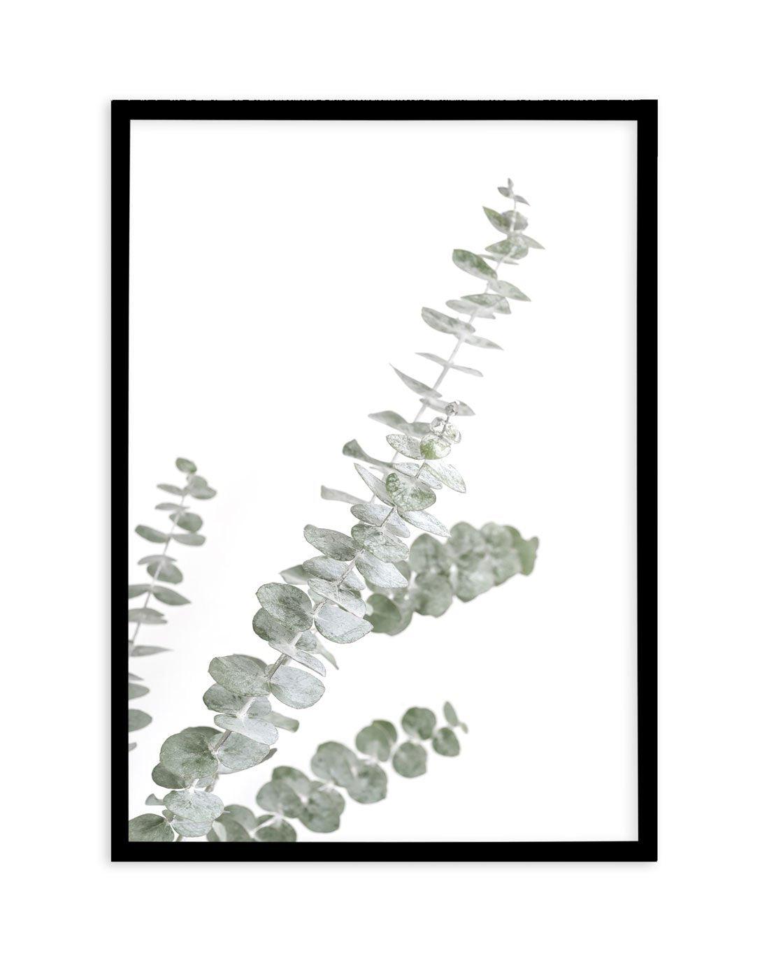 Eucalyptus Gum I Art Print-PRINT-Olive et Oriel-Olive et Oriel-A5 | 5.8" x 8.3" | 14.8 x 21cm-Black-With White Border-Buy-Australian-Art-Prints-Online-with-Olive-et-Oriel-Your-Artwork-Specialists-Austrailia-Decorate-With-Coastal-Photo-Wall-Art-Prints-From-Our-Beach-House-Artwork-Collection-Fine-Poster-and-Framed-Artwork