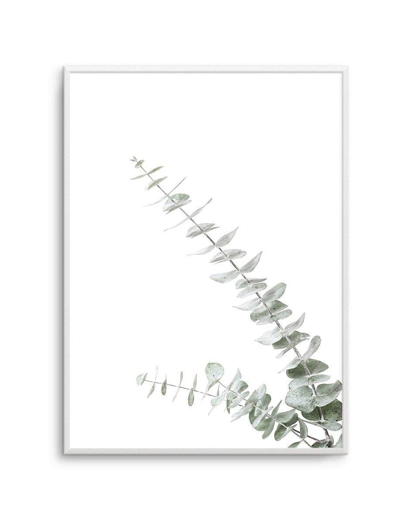 Eucalyptus Gum II Art Print-PRINT-Olive et Oriel-Olive et Oriel-A4 | 8.3" x 11.7" | 21 x 29.7cm-Unframed Art Print-With White Border-Buy-Australian-Art-Prints-Online-with-Olive-et-Oriel-Your-Artwork-Specialists-Austrailia-Decorate-With-Coastal-Photo-Wall-Art-Prints-From-Our-Beach-House-Artwork-Collection-Fine-Poster-and-Framed-Artwork