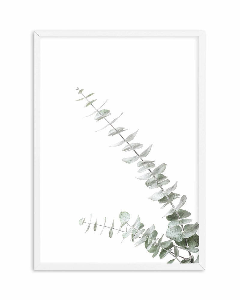Eucalyptus Gum II Art Print-PRINT-Olive et Oriel-Olive et Oriel-A4 | 8.3" x 11.7" | 21 x 29.7cm-White-With White Border-Buy-Australian-Art-Prints-Online-with-Olive-et-Oriel-Your-Artwork-Specialists-Austrailia-Decorate-With-Coastal-Photo-Wall-Art-Prints-From-Our-Beach-House-Artwork-Collection-Fine-Poster-and-Framed-Artwork