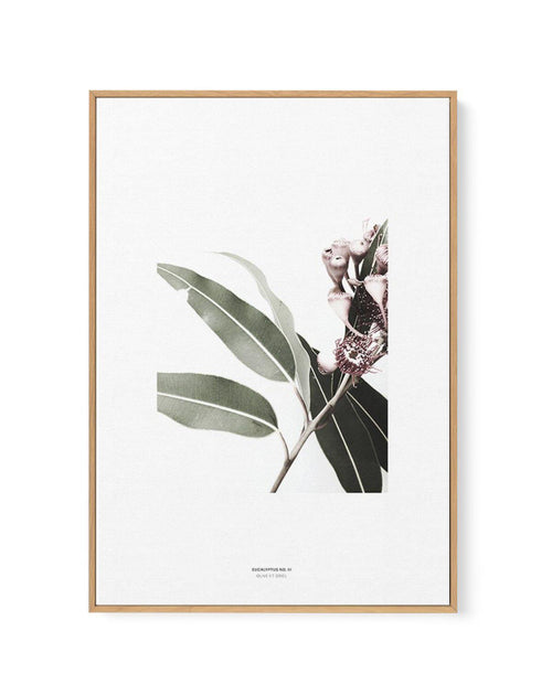 Eucalyptus III | Framed Canvas-CANVAS-You can shop wall art online with Olive et Oriel for everything from abstract art to fun kids wall art. Our beautiful modern art prints and canvas art are available from large canvas prints to wall art paintings and our proudly Australian artwork collection offers only the highest quality framed large wall art and canvas art Australia - You can buy fashion photography prints or Hampton print posters and paintings on canvas from Olive et Oriel and have them d