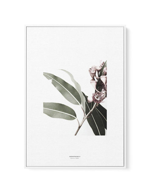 Eucalyptus III | Framed Canvas-CANVAS-You can shop wall art online with Olive et Oriel for everything from abstract art to fun kids wall art. Our beautiful modern art prints and canvas art are available from large canvas prints to wall art paintings and our proudly Australian artwork collection offers only the highest quality framed large wall art and canvas art Australia - You can buy fashion photography prints or Hampton print posters and paintings on canvas from Olive et Oriel and have them d