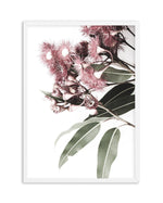 Eucalyptus in Bloom Art Print-PRINT-Olive et Oriel-Olive et Oriel-A4 | 8.3" x 11.7" | 21 x 29.7cm-White-With White Border-Buy-Australian-Art-Prints-Online-with-Olive-et-Oriel-Your-Artwork-Specialists-Austrailia-Decorate-With-Coastal-Photo-Wall-Art-Prints-From-Our-Beach-House-Artwork-Collection-Fine-Poster-and-Framed-Artwork