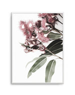 Eucalyptus in Bloom Art Print-PRINT-Olive et Oriel-Olive et Oriel-A4 | 8.3" x 11.7" | 21 x 29.7cm-Unframed Art Print-With White Border-Buy-Australian-Art-Prints-Online-with-Olive-et-Oriel-Your-Artwork-Specialists-Austrailia-Decorate-With-Coastal-Photo-Wall-Art-Prints-From-Our-Beach-House-Artwork-Collection-Fine-Poster-and-Framed-Artwork