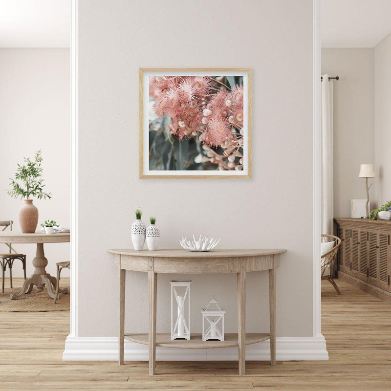 Eucalyptus In Bloom II | SQ Art Print-PRINT-Olive et Oriel-Olive et Oriel-Buy-Australian-Art-Prints-Online-with-Olive-et-Oriel-Your-Artwork-Specialists-Austrailia-Decorate-With-Coastal-Photo-Wall-Art-Prints-From-Our-Beach-House-Artwork-Collection-Fine-Poster-and-Framed-Artwork
