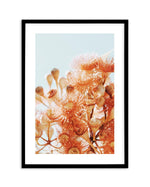 Eucalyptus In Bloom III | PT Art Print-PRINT-Olive et Oriel-Olive et Oriel-A5 | 5.8" x 8.3" | 14.8 x 21cm-Black-With White Border-Buy-Australian-Art-Prints-Online-with-Olive-et-Oriel-Your-Artwork-Specialists-Austrailia-Decorate-With-Coastal-Photo-Wall-Art-Prints-From-Our-Beach-House-Artwork-Collection-Fine-Poster-and-Framed-Artwork