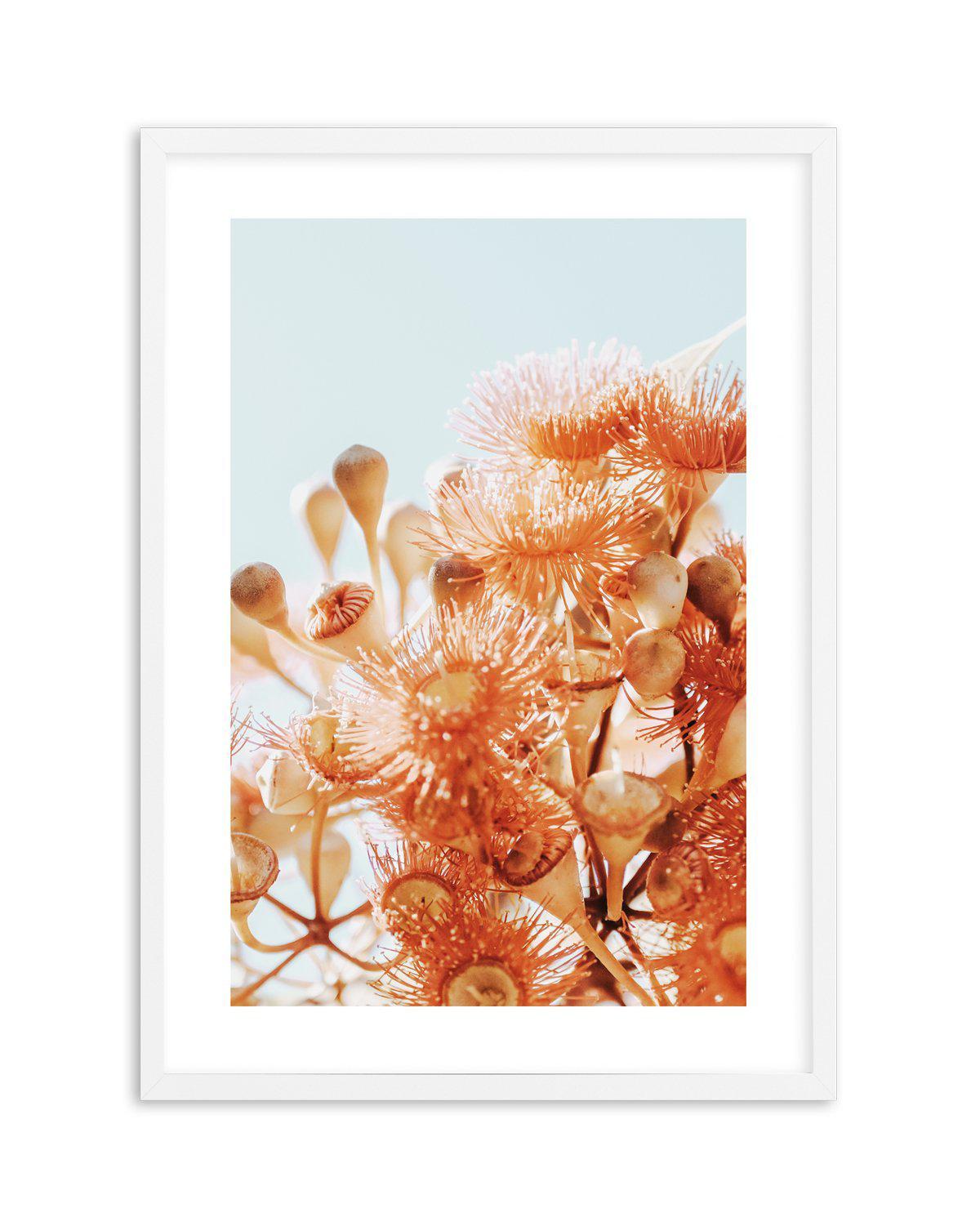 Eucalyptus In Bloom III | PT Art Print-PRINT-Olive et Oriel-Olive et Oriel-A5 | 5.8" x 8.3" | 14.8 x 21cm-White-With White Border-Buy-Australian-Art-Prints-Online-with-Olive-et-Oriel-Your-Artwork-Specialists-Austrailia-Decorate-With-Coastal-Photo-Wall-Art-Prints-From-Our-Beach-House-Artwork-Collection-Fine-Poster-and-Framed-Artwork