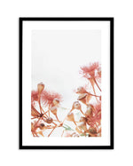 Eucalyptus in Bloom IV | PT Art Print-PRINT-Olive et Oriel-Olive et Oriel-A5 | 5.8" x 8.3" | 14.8 x 21cm-Black-With White Border-Buy-Australian-Art-Prints-Online-with-Olive-et-Oriel-Your-Artwork-Specialists-Austrailia-Decorate-With-Coastal-Photo-Wall-Art-Prints-From-Our-Beach-House-Artwork-Collection-Fine-Poster-and-Framed-Artwork