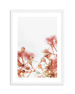 Eucalyptus in Bloom IV | PT Art Print-PRINT-Olive et Oriel-Olive et Oriel-A5 | 5.8" x 8.3" | 14.8 x 21cm-White-With White Border-Buy-Australian-Art-Prints-Online-with-Olive-et-Oriel-Your-Artwork-Specialists-Austrailia-Decorate-With-Coastal-Photo-Wall-Art-Prints-From-Our-Beach-House-Artwork-Collection-Fine-Poster-and-Framed-Artwork