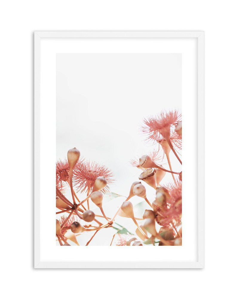 Eucalyptus in Bloom IV | PT Art Print-PRINT-Olive et Oriel-Olive et Oriel-A5 | 5.8" x 8.3" | 14.8 x 21cm-White-With White Border-Buy-Australian-Art-Prints-Online-with-Olive-et-Oriel-Your-Artwork-Specialists-Austrailia-Decorate-With-Coastal-Photo-Wall-Art-Prints-From-Our-Beach-House-Artwork-Collection-Fine-Poster-and-Framed-Artwork