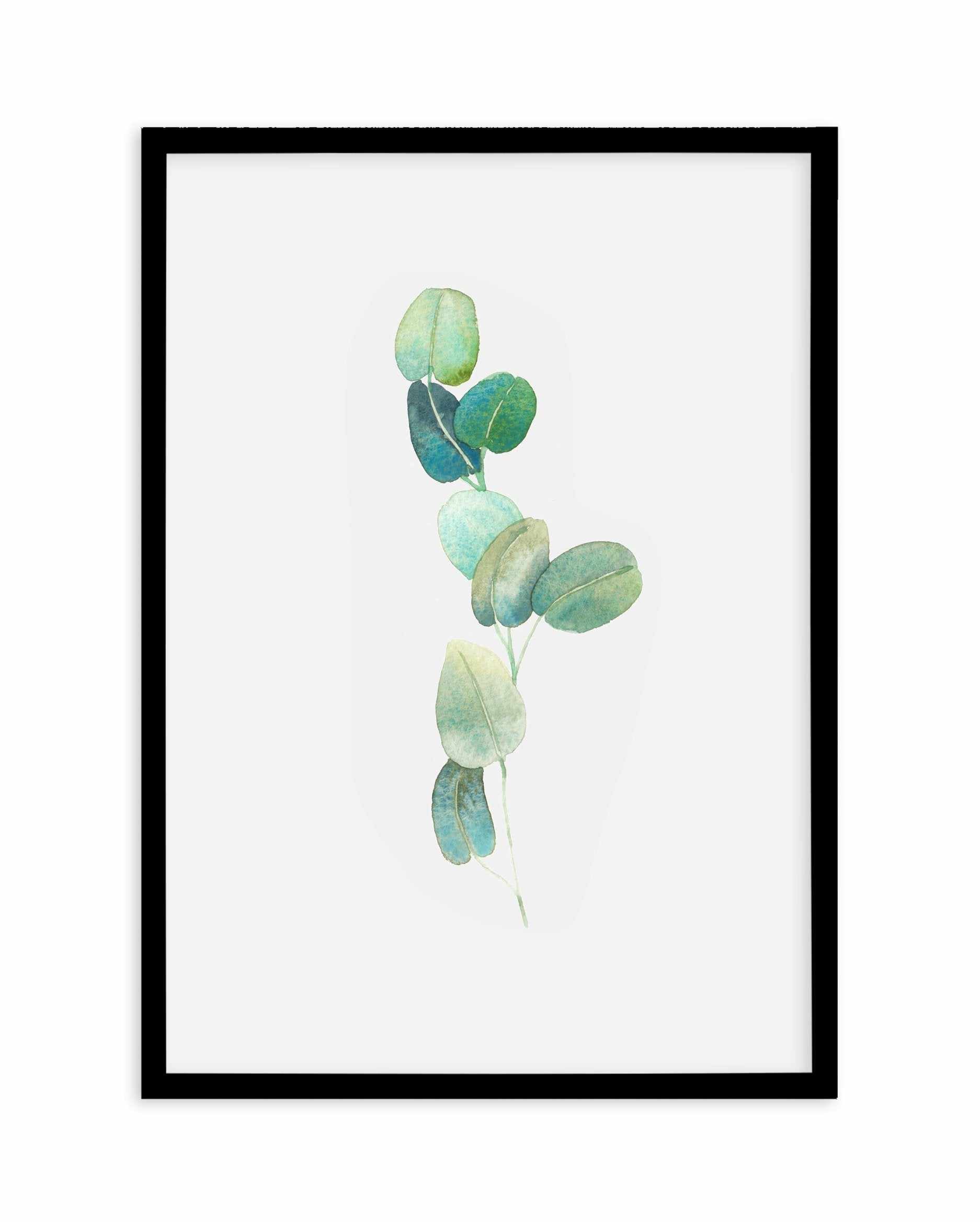 Eucalyptus In Watercolour Art Print-PRINT-Olive et Oriel-Olive et Oriel-A4 | 8.3" x 11.7" | 21 x 29.7cm-Black-With White Border-Buy-Australian-Art-Prints-Online-with-Olive-et-Oriel-Your-Artwork-Specialists-Austrailia-Decorate-With-Coastal-Photo-Wall-Art-Prints-From-Our-Beach-House-Artwork-Collection-Fine-Poster-and-Framed-Artwork