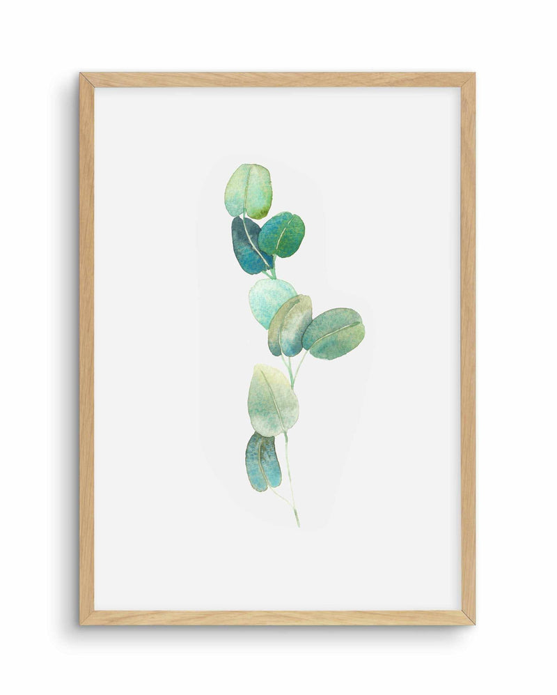 Eucalyptus In Watercolour Art Print-PRINT-Olive et Oriel-Olive et Oriel-A4 | 8.3" x 11.7" | 21 x 29.7cm-Oak-With White Border-Buy-Australian-Art-Prints-Online-with-Olive-et-Oriel-Your-Artwork-Specialists-Austrailia-Decorate-With-Coastal-Photo-Wall-Art-Prints-From-Our-Beach-House-Artwork-Collection-Fine-Poster-and-Framed-Artwork