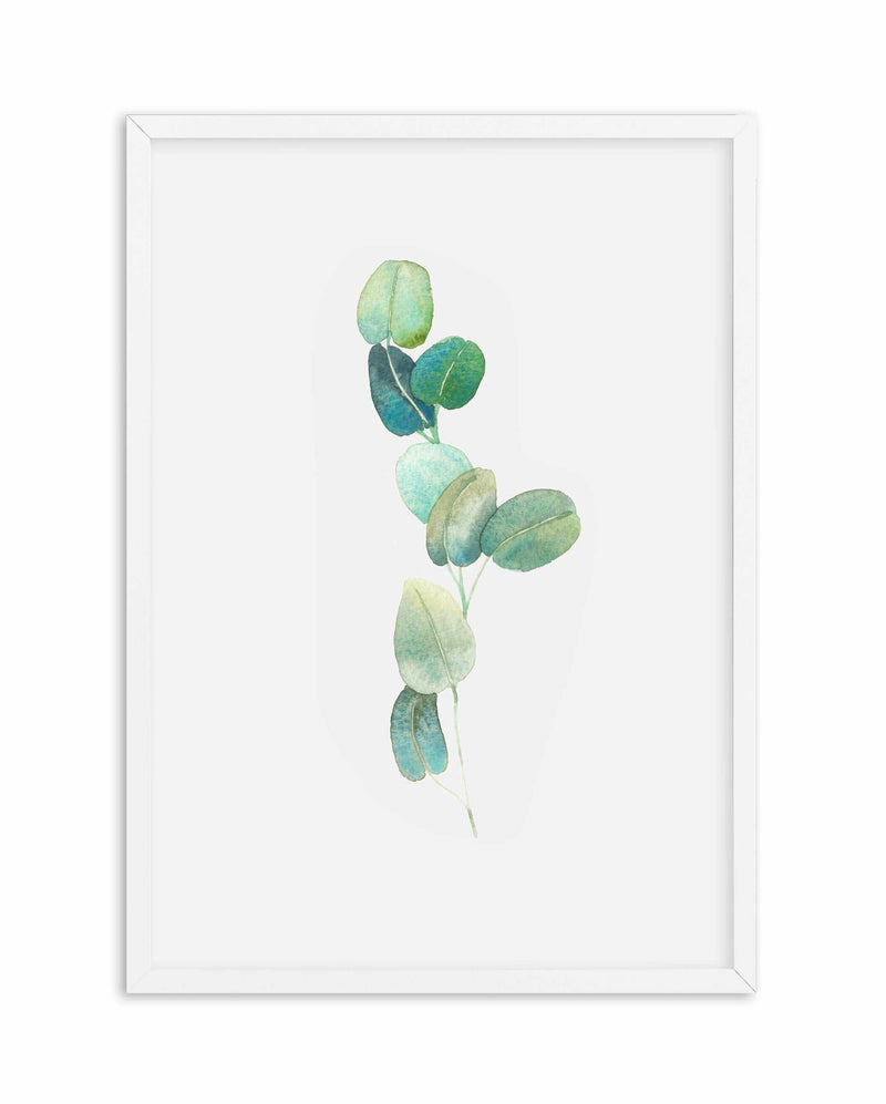 Eucalyptus In Watercolour Art Print-PRINT-Olive et Oriel-Olive et Oriel-A4 | 8.3" x 11.7" | 21 x 29.7cm-White-With White Border-Buy-Australian-Art-Prints-Online-with-Olive-et-Oriel-Your-Artwork-Specialists-Austrailia-Decorate-With-Coastal-Photo-Wall-Art-Prints-From-Our-Beach-House-Artwork-Collection-Fine-Poster-and-Framed-Artwork