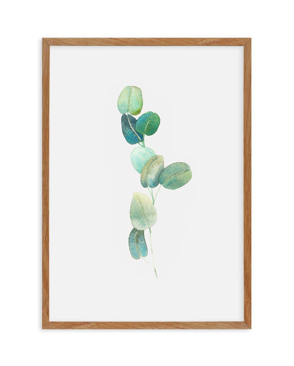 Eucalyptus In Watercolour Art Print-PRINT-Olive et Oriel-Olive et Oriel-50x70 cm | 19.6" x 27.5"-Walnut-With White Border-Buy-Australian-Art-Prints-Online-with-Olive-et-Oriel-Your-Artwork-Specialists-Austrailia-Decorate-With-Coastal-Photo-Wall-Art-Prints-From-Our-Beach-House-Artwork-Collection-Fine-Poster-and-Framed-Artwork