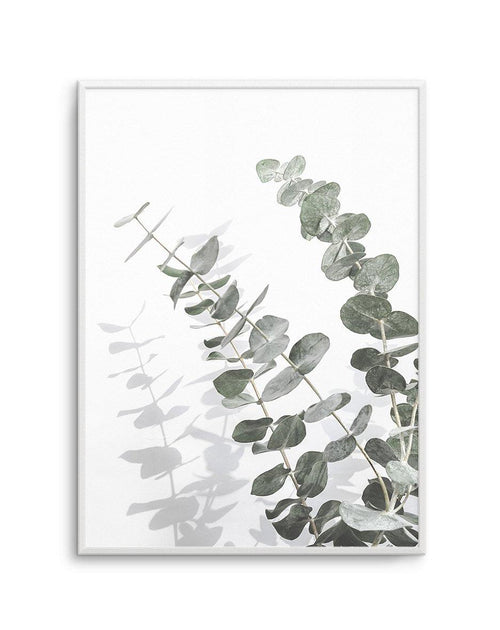 Eucalyptus IV Art Print-PRINT-Olive et Oriel-Olive et Oriel-A4 | 8.3" x 11.7" | 21 x 29.7cm-Unframed Art Print-With White Border-Buy-Australian-Art-Prints-Online-with-Olive-et-Oriel-Your-Artwork-Specialists-Austrailia-Decorate-With-Coastal-Photo-Wall-Art-Prints-From-Our-Beach-House-Artwork-Collection-Fine-Poster-and-Framed-Artwork