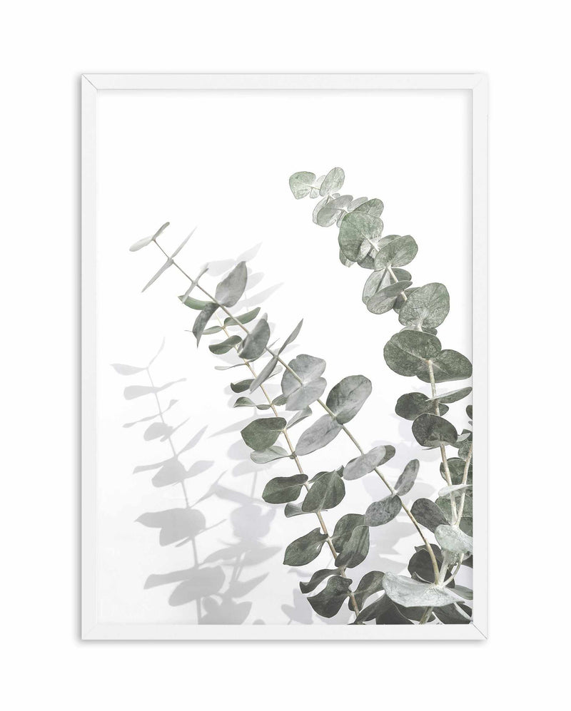 Eucalyptus IV Art Print-PRINT-Olive et Oriel-Olive et Oriel-A4 | 8.3" x 11.7" | 21 x 29.7cm-White-With White Border-Buy-Australian-Art-Prints-Online-with-Olive-et-Oriel-Your-Artwork-Specialists-Austrailia-Decorate-With-Coastal-Photo-Wall-Art-Prints-From-Our-Beach-House-Artwork-Collection-Fine-Poster-and-Framed-Artwork