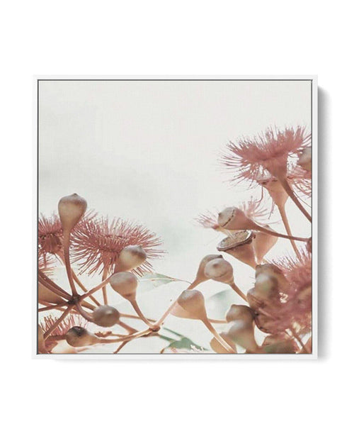 Eucalyptus IV SQ | Framed Canvas-CANVAS-You can shop wall art online with Olive et Oriel for everything from abstract art to fun kids wall art. Our beautiful modern art prints and canvas art are available from large canvas prints to wall art paintings and our proudly Australian artwork collection offers only the highest quality framed large wall art and canvas art Australia - You can buy fashion photography prints or Hampton print posters and paintings on canvas from Olive et Oriel and have them