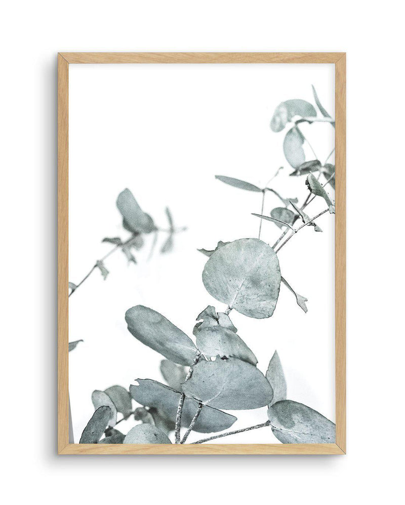 Eucalyptus Leaves I Art Print-PRINT-Olive et Oriel-Olive et Oriel-A4 | 8.3" x 11.7" | 21 x 29.7cm-Oak-With White Border-Buy-Australian-Art-Prints-Online-with-Olive-et-Oriel-Your-Artwork-Specialists-Austrailia-Decorate-With-Coastal-Photo-Wall-Art-Prints-From-Our-Beach-House-Artwork-Collection-Fine-Poster-and-Framed-Artwork