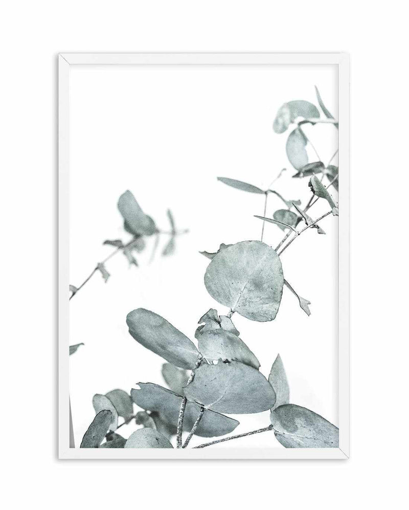 Eucalyptus Leaves I Art Print-PRINT-Olive et Oriel-Olive et Oriel-A4 | 8.3" x 11.7" | 21 x 29.7cm-White-With White Border-Buy-Australian-Art-Prints-Online-with-Olive-et-Oriel-Your-Artwork-Specialists-Austrailia-Decorate-With-Coastal-Photo-Wall-Art-Prints-From-Our-Beach-House-Artwork-Collection-Fine-Poster-and-Framed-Artwork