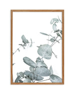 Eucalyptus Leaves I Art Print-PRINT-Olive et Oriel-Olive et Oriel-50x70 cm | 19.6" x 27.5"-Walnut-With White Border-Buy-Australian-Art-Prints-Online-with-Olive-et-Oriel-Your-Artwork-Specialists-Austrailia-Decorate-With-Coastal-Photo-Wall-Art-Prints-From-Our-Beach-House-Artwork-Collection-Fine-Poster-and-Framed-Artwork