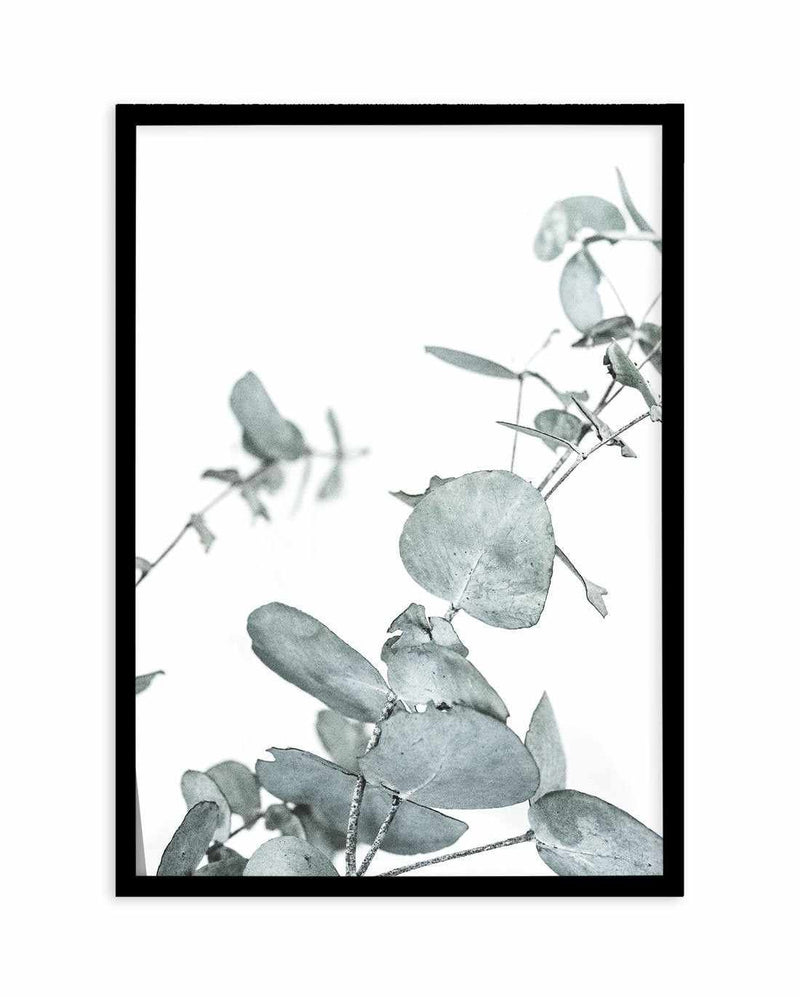 Eucalyptus Leaves I Art Print-PRINT-Olive et Oriel-Olive et Oriel-A4 | 8.3" x 11.7" | 21 x 29.7cm-Black-With White Border-Buy-Australian-Art-Prints-Online-with-Olive-et-Oriel-Your-Artwork-Specialists-Austrailia-Decorate-With-Coastal-Photo-Wall-Art-Prints-From-Our-Beach-House-Artwork-Collection-Fine-Poster-and-Framed-Artwork