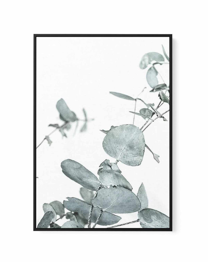 Eucalyptus Leaves I | Framed Canvas-CANVAS-You can shop wall art online with Olive et Oriel for everything from abstract art to fun kids wall art. Our beautiful modern art prints and canvas art are available from large canvas prints to wall art paintings and our proudly Australian artwork collection offers only the highest quality framed large wall art and canvas art Australia - You can buy fashion photography prints or Hampton print posters and paintings on canvas from Olive et Oriel and have t