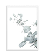 Eucalyptus Leaves II Art Print-PRINT-Olive et Oriel-Olive et Oriel-A4 | 8.3" x 11.7" | 21 x 29.7cm-White-With White Border-Buy-Australian-Art-Prints-Online-with-Olive-et-Oriel-Your-Artwork-Specialists-Austrailia-Decorate-With-Coastal-Photo-Wall-Art-Prints-From-Our-Beach-House-Artwork-Collection-Fine-Poster-and-Framed-Artwork