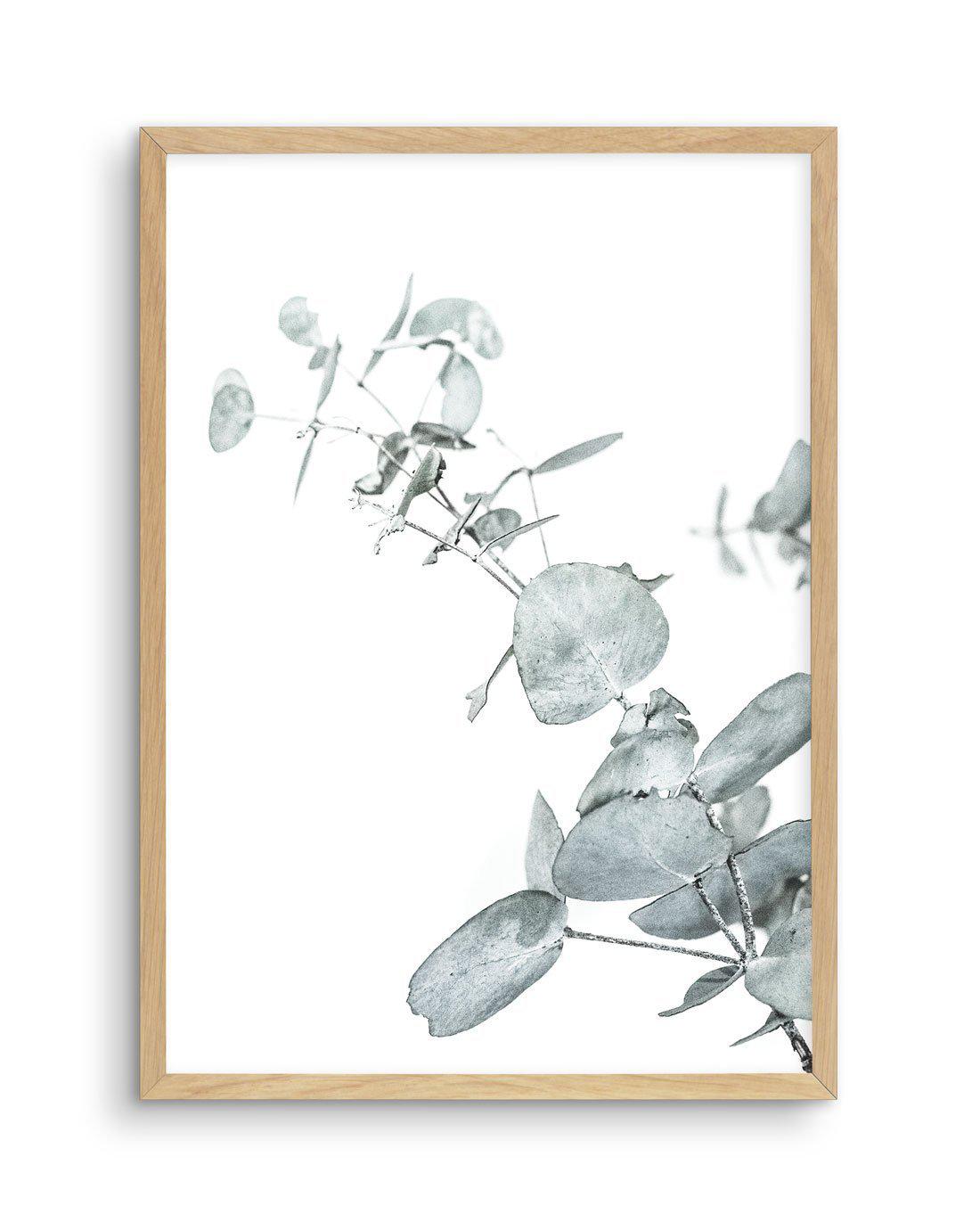 Eucalyptus Leaves II Art Print-PRINT-Olive et Oriel-Olive et Oriel-A4 | 8.3" x 11.7" | 21 x 29.7cm-Oak-With White Border-Buy-Australian-Art-Prints-Online-with-Olive-et-Oriel-Your-Artwork-Specialists-Austrailia-Decorate-With-Coastal-Photo-Wall-Art-Prints-From-Our-Beach-House-Artwork-Collection-Fine-Poster-and-Framed-Artwork