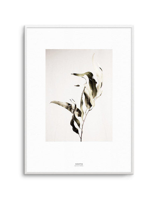 Eucalyptus I Art Print-PRINT-Olive et Oriel-Olive et Oriel-A4 | 8.3" x 11.7" | 21 x 29.7cm-Unframed Art Print-With White Border-Buy-Australian-Art-Prints-Online-with-Olive-et-Oriel-Your-Artwork-Specialists-Austrailia-Decorate-With-Coastal-Photo-Wall-Art-Prints-From-Our-Beach-House-Artwork-Collection-Fine-Poster-and-Framed-Artwork