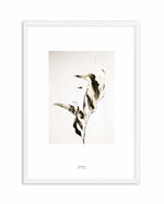 Eucalyptus I Art Print-PRINT-Olive et Oriel-Olive et Oriel-A4 | 8.3" x 11.7" | 21 x 29.7cm-White-With White Border-Buy-Australian-Art-Prints-Online-with-Olive-et-Oriel-Your-Artwork-Specialists-Austrailia-Decorate-With-Coastal-Photo-Wall-Art-Prints-From-Our-Beach-House-Artwork-Collection-Fine-Poster-and-Framed-Artwork