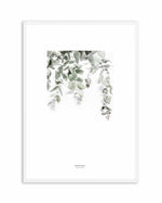 Eucalyptus II Art Print-PRINT-Olive et Oriel-Olive et Oriel-A4 | 8.3" x 11.7" | 21 x 29.7cm-White-With White Border-Buy-Australian-Art-Prints-Online-with-Olive-et-Oriel-Your-Artwork-Specialists-Austrailia-Decorate-With-Coastal-Photo-Wall-Art-Prints-From-Our-Beach-House-Artwork-Collection-Fine-Poster-and-Framed-Artwork