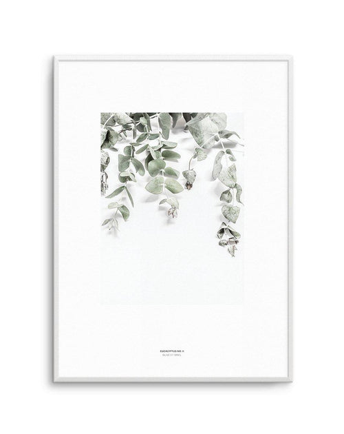 Eucalyptus II Art Print-PRINT-Olive et Oriel-Olive et Oriel-A4 | 8.3" x 11.7" | 21 x 29.7cm-Unframed Art Print-With White Border-Buy-Australian-Art-Prints-Online-with-Olive-et-Oriel-Your-Artwork-Specialists-Austrailia-Decorate-With-Coastal-Photo-Wall-Art-Prints-From-Our-Beach-House-Artwork-Collection-Fine-Poster-and-Framed-Artwork