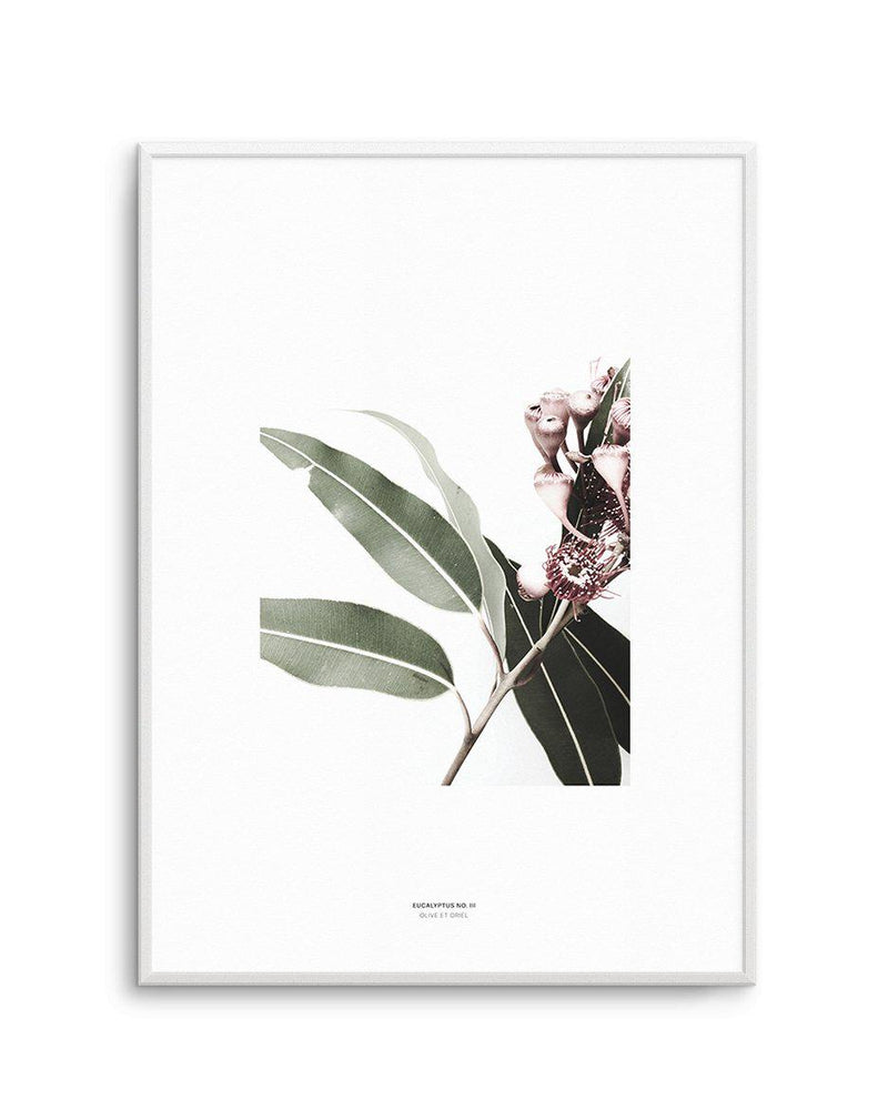Eucalyptus III Art Print-PRINT-Olive et Oriel-Olive et Oriel-A4 | 8.3" x 11.7" | 21 x 29.7cm-Unframed Art Print-With White Border-Buy-Australian-Art-Prints-Online-with-Olive-et-Oriel-Your-Artwork-Specialists-Austrailia-Decorate-With-Coastal-Photo-Wall-Art-Prints-From-Our-Beach-House-Artwork-Collection-Fine-Poster-and-Framed-Artwork