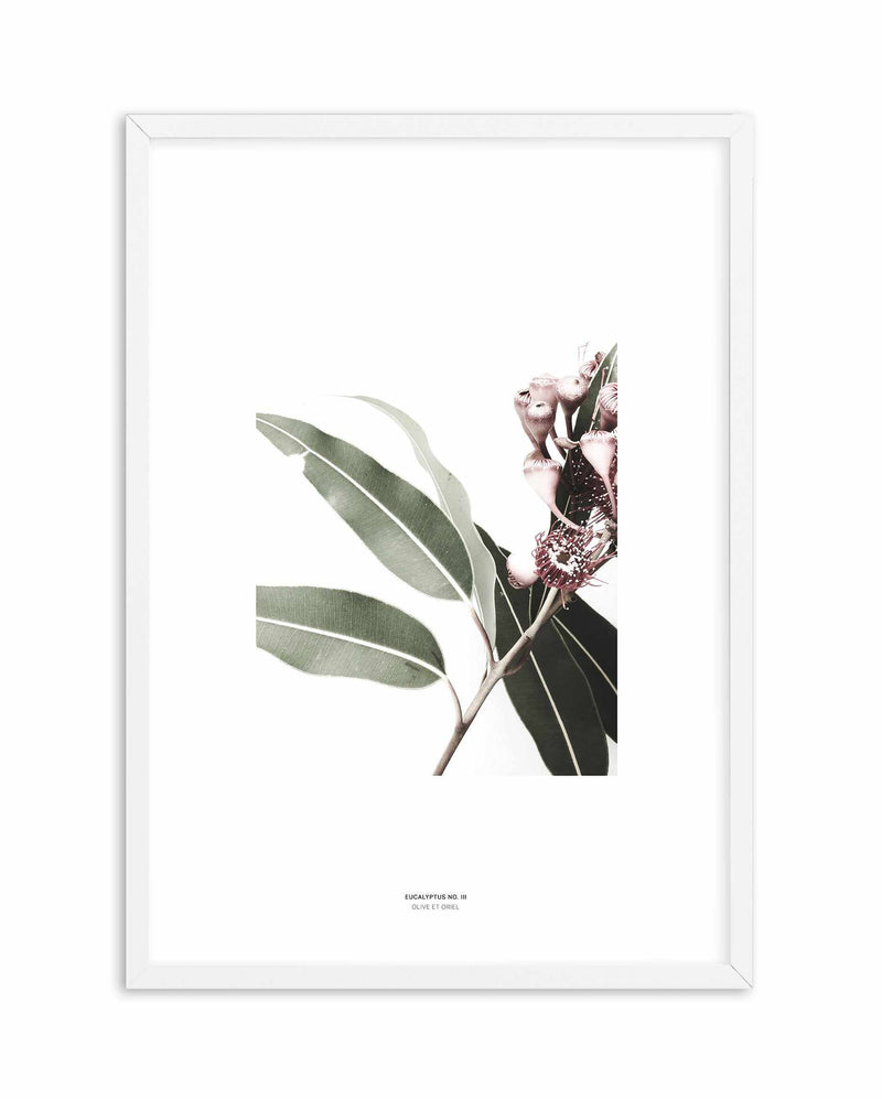 Eucalyptus III Art Print-PRINT-Olive et Oriel-Olive et Oriel-A4 | 8.3" x 11.7" | 21 x 29.7cm-White-With White Border-Buy-Australian-Art-Prints-Online-with-Olive-et-Oriel-Your-Artwork-Specialists-Austrailia-Decorate-With-Coastal-Photo-Wall-Art-Prints-From-Our-Beach-House-Artwork-Collection-Fine-Poster-and-Framed-Artwork