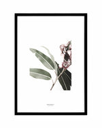 Eucalyptus III Art Print-PRINT-Olive et Oriel-Olive et Oriel-A4 | 8.3" x 11.7" | 21 x 29.7cm-Black-With White Border-Buy-Australian-Art-Prints-Online-with-Olive-et-Oriel-Your-Artwork-Specialists-Austrailia-Decorate-With-Coastal-Photo-Wall-Art-Prints-From-Our-Beach-House-Artwork-Collection-Fine-Poster-and-Framed-Artwork