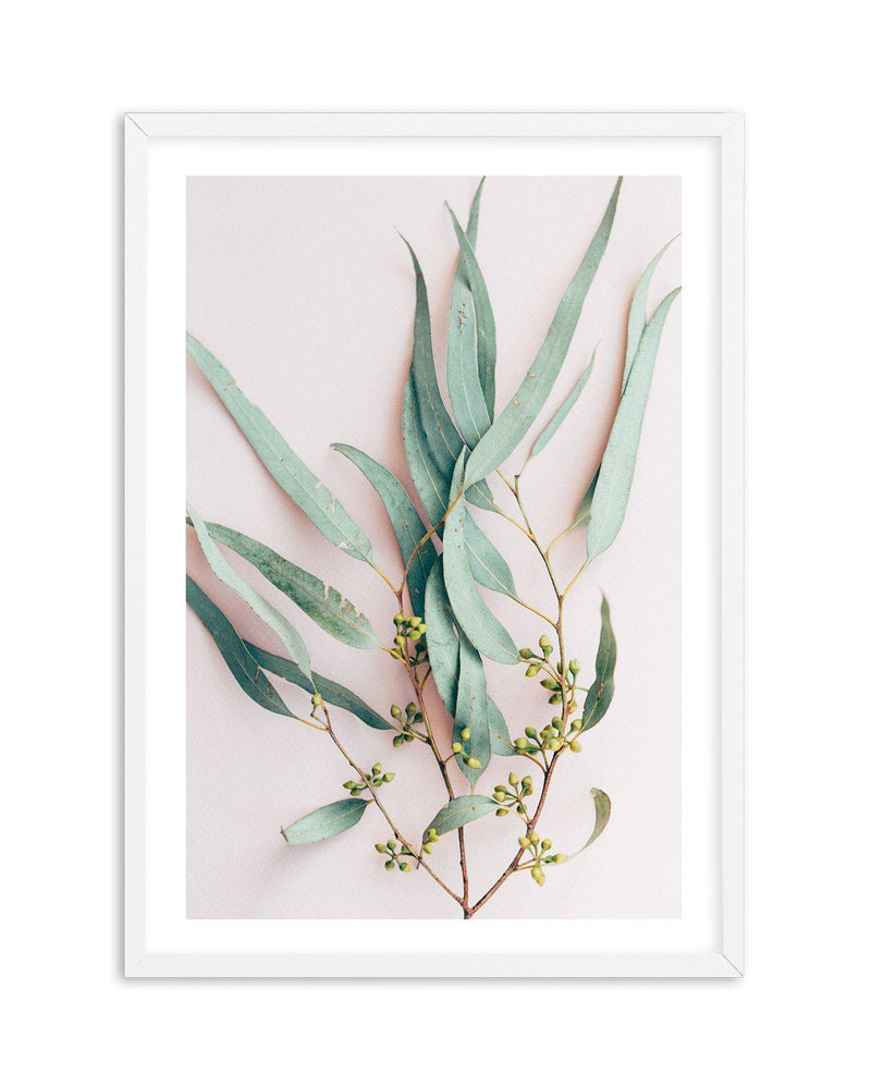 Eucalyptus on Blush Art Print-PRINT-Olive et Oriel-Olive et Oriel-A5 | 5.8" x 8.3" | 14.8 x 21cm-White-With White Border-Buy-Australian-Art-Prints-Online-with-Olive-et-Oriel-Your-Artwork-Specialists-Austrailia-Decorate-With-Coastal-Photo-Wall-Art-Prints-From-Our-Beach-House-Artwork-Collection-Fine-Poster-and-Framed-Artwork