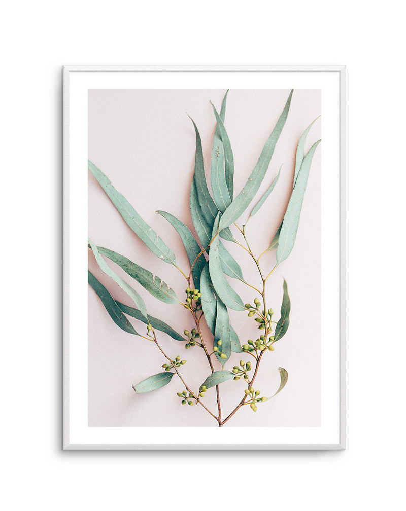 Eucalyptus on Blush Art Print-PRINT-Olive et Oriel-Olive et Oriel-A5 | 5.8" x 8.3" | 14.8 x 21cm-Unframed Art Print-With White Border-Buy-Australian-Art-Prints-Online-with-Olive-et-Oriel-Your-Artwork-Specialists-Austrailia-Decorate-With-Coastal-Photo-Wall-Art-Prints-From-Our-Beach-House-Artwork-Collection-Fine-Poster-and-Framed-Artwork